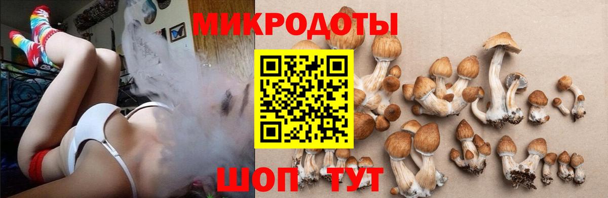 Галлюциногенные грибы Cubensis  Вход с VPN  Псилоцибиновые грибы прущие грибы  Северск 